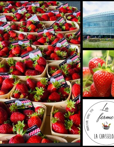 Les fraises de la Ferme de la Chasseloire disponible pour les offres professionnels, près de Nantes